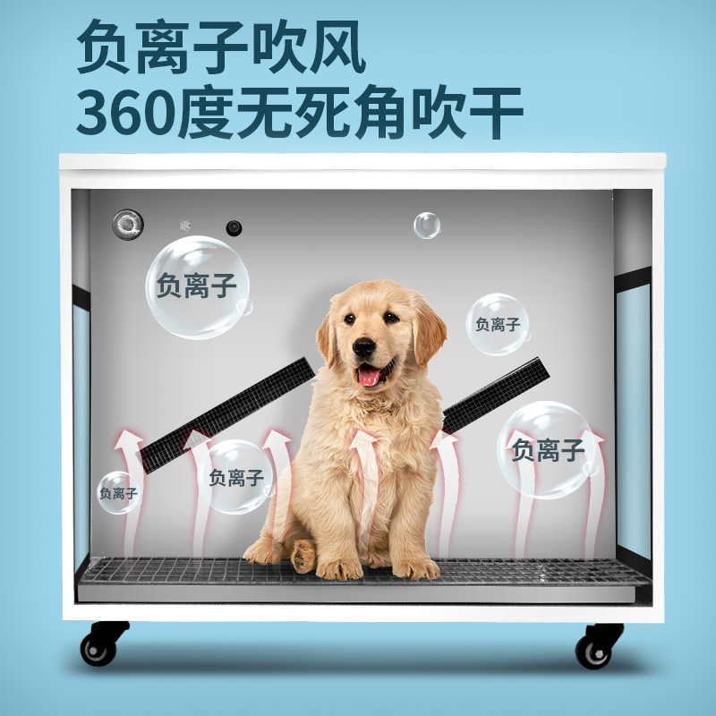 Pet drying box dryer pet store - Power Tools Store recensione e prezzo